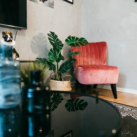 Apartment Luxury Downtown Mit Garage Graz