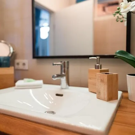 Luxury Downtown Mit Garage Apartment Graz