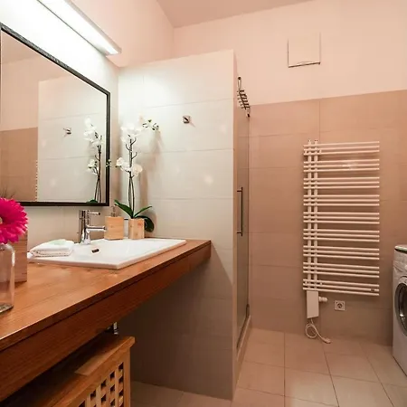 Luxury Downtown Mit Garage グラーツ