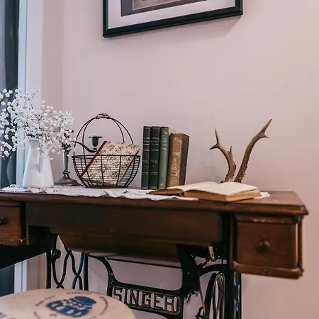 Luxury Downtown Mit Garage Štýrský Hradec